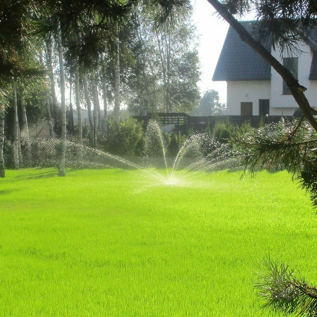 Zakładanie trawnika Żołędowo - trawnik z siewu wraz z systemem nawadniającym.